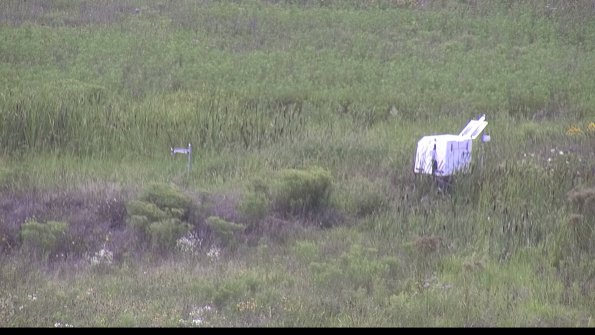 capture-5-23-08-08_15-40-11-17