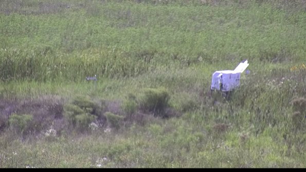 capture-5-23-08-08_16-30-01-07