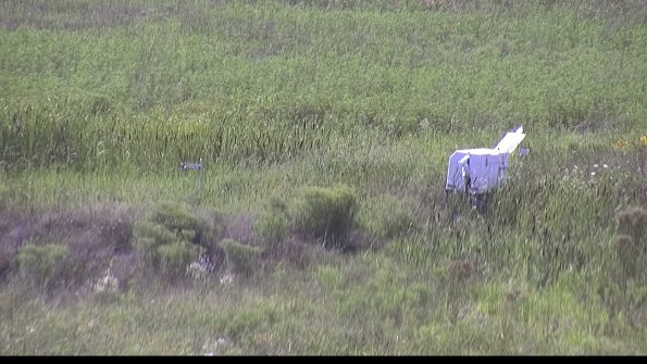 capture-5-23-08-08_16-34-21-06