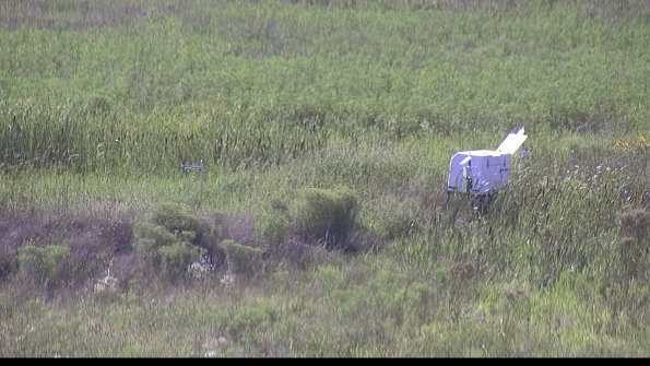 capture-5-23-08-08_17-02-31-03