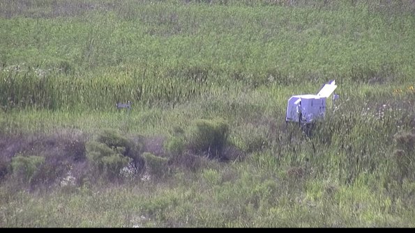 capture-5-23-08-08_17-15-31-18