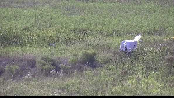 capture-5-23-08-08_17-18-27-29