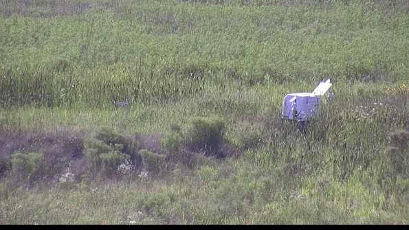 capture-5-23-08-08_17-20-37-25