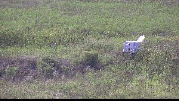 capture-5-23-08-08_17-29-17-14