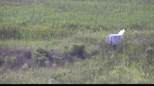 capture-5-23-08-08_17-31-26-94