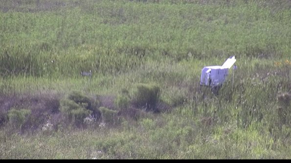 capture-5-23-08-08_17-33-37-17