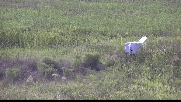 capture-5-23-08-08_17-35-47-07