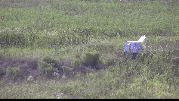 capture-5-23-08-08_17-37-57-27