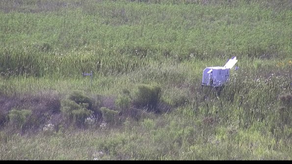 capture-5-23-08-08_17-42-17-09