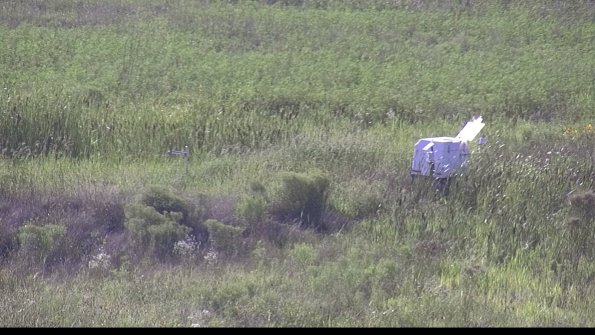 capture-5-23-08-08_17-46-37-02