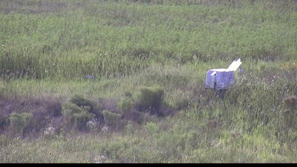 capture-5-23-08-08_17-53-07-01