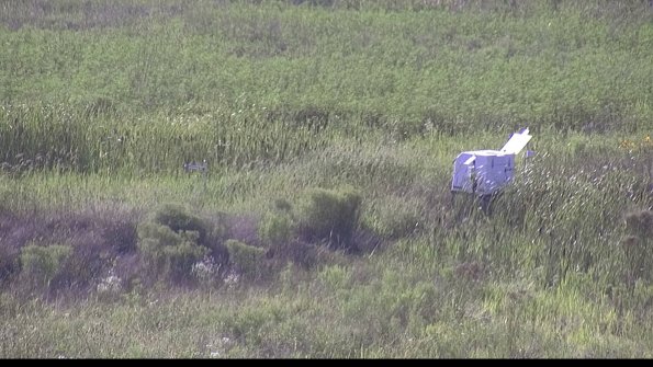 capture-5-23-08-08_17-59-38-17