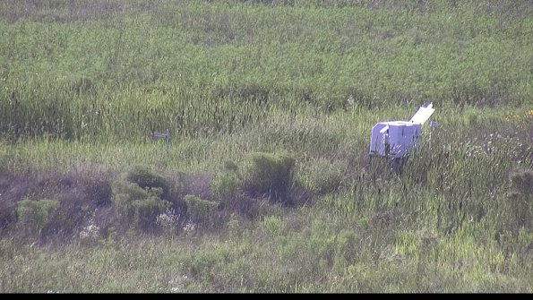 capture-5-23-08-08_18-01-47-16