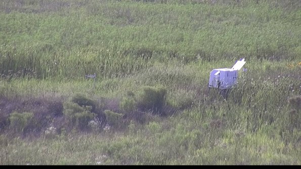 capture-5-23-08-08_18-06-07-06