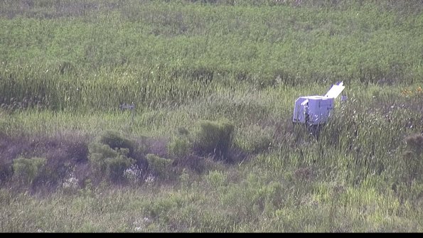 capture-5-23-08-08_18-10-27-25