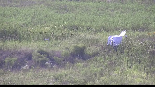 capture-5-23-08-08_18-16-56-38