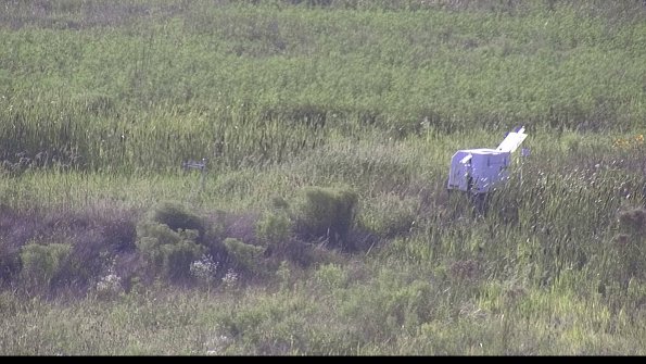 capture-5-23-08-08_18-27-47-13