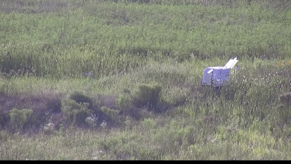 capture-5-23-08-08_18-40-46-68