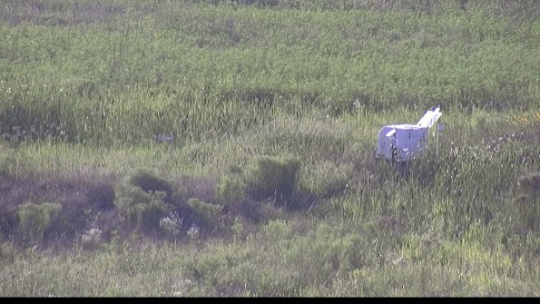 capture-5-23-08-08_18-45-07-21