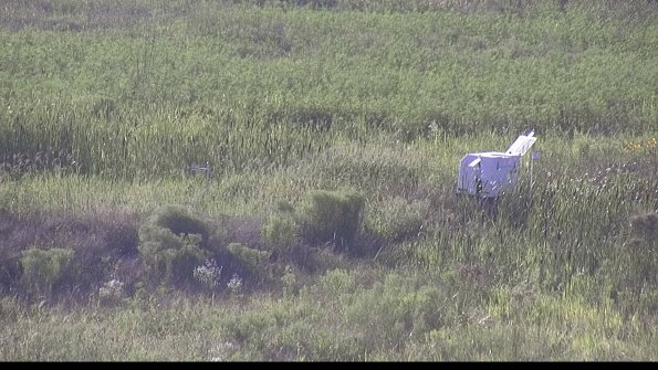 capture-5-23-08-08_18-49-27-17