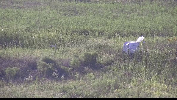 capture-5-23-08-08_18-53-48-03