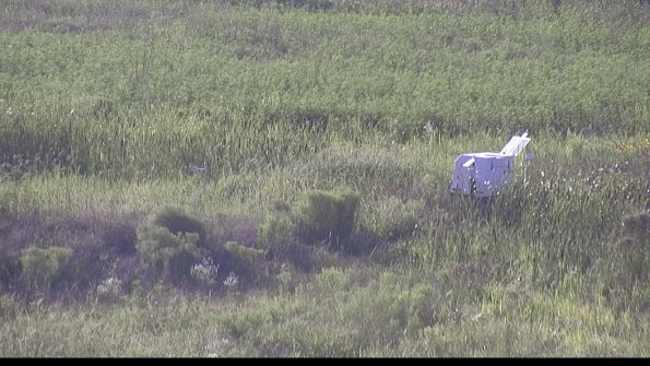 capture-5-23-08-08_18-55-57-03