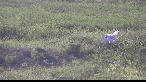 capture-5-23-08-08_18-58-07-13