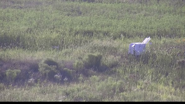 capture-5-23-08-08_19-06-47-21