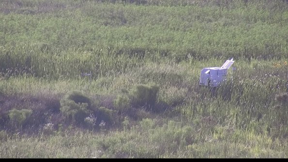 capture-5-23-08-08_19-08-58-08