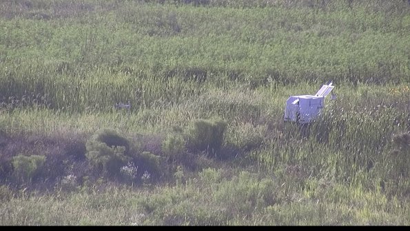 capture-5-23-08-08_19-11-07-14