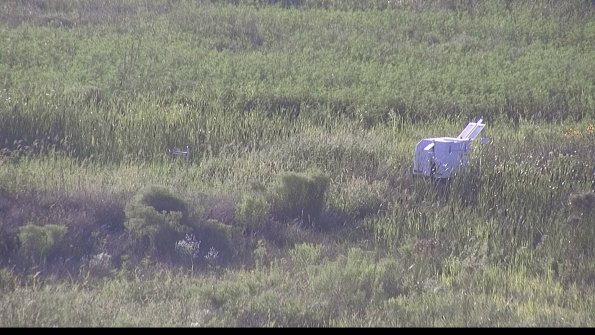 capture-5-23-08-08_19-15-27-14