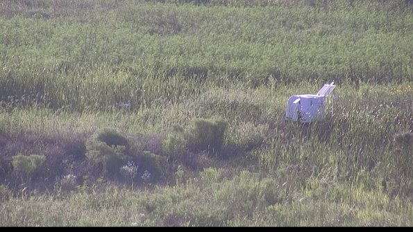 capture-5-23-08-08_19-19-48-13