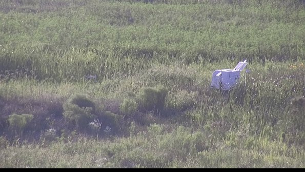 capture-5-23-08-08_19-21-57-13