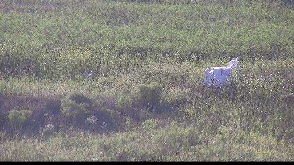 capture-5-23-08-08_19-24-07-29