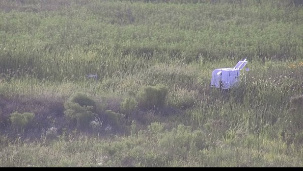 capture-5-23-08-08_19-28-27-09