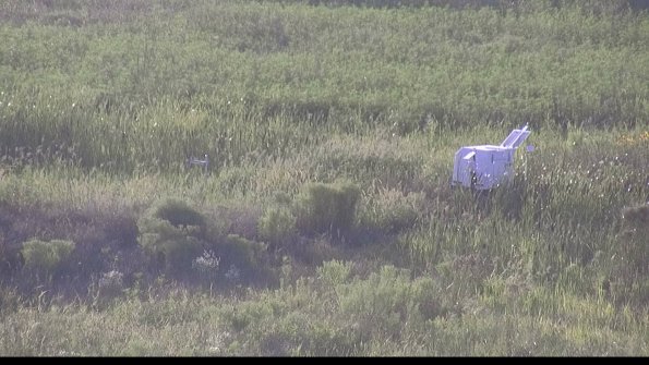 capture-5-23-08-08_19-32-48-18