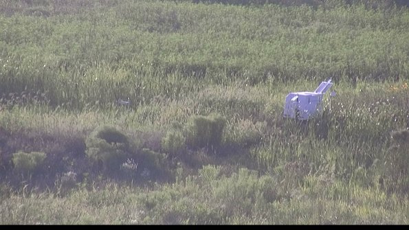 capture-5-23-08-08_19-34-57-18