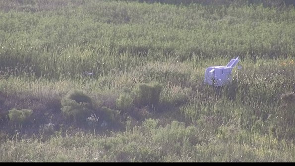 capture-5-23-08-08_19-37-07-18