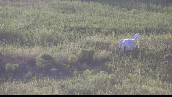 capture-5-23-08-08_19-41-27-20