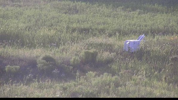 capture-5-23-08-08_19-45-48-27