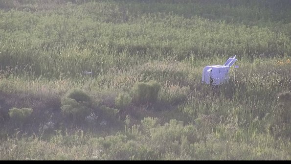 capture-5-23-08-08_19-52-17-06