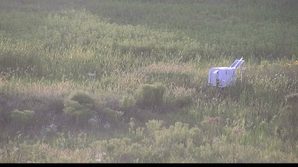 capture-5-23-08-08_20-03-08-25