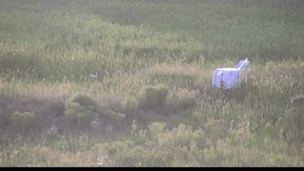 capture-5-23-08-08_20-05-16-44