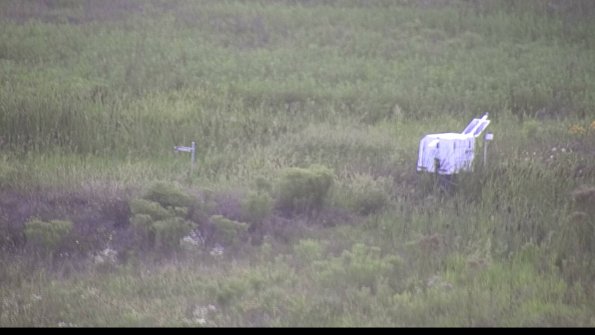 capture-5-23-08-08_20-13-57-10