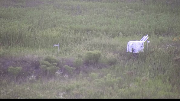 capture-5-23-08-08_20-16-07-96