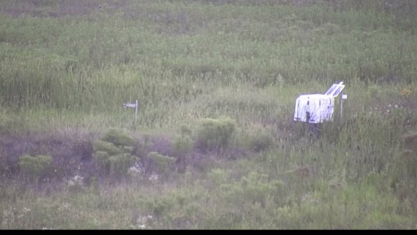 capture-5-23-08-08_20-22-37-09