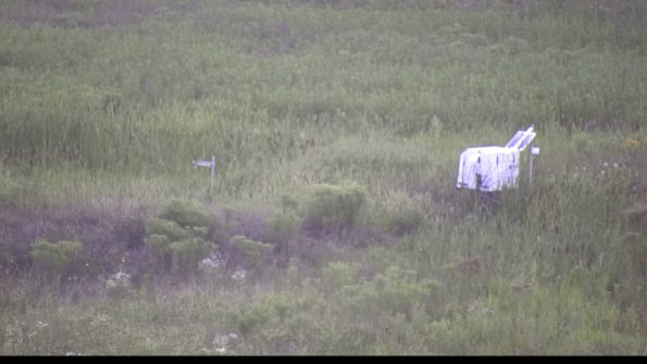 capture-5-23-08-08_20-24-48-22