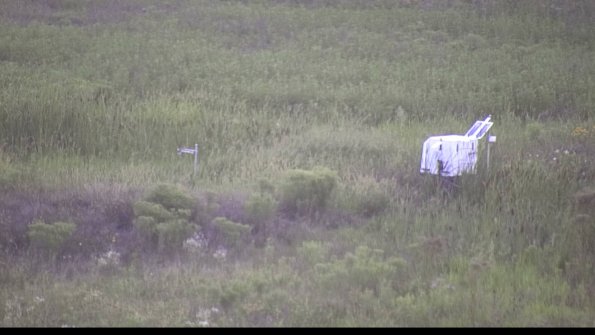 capture-5-23-08-08_20-29-08-31