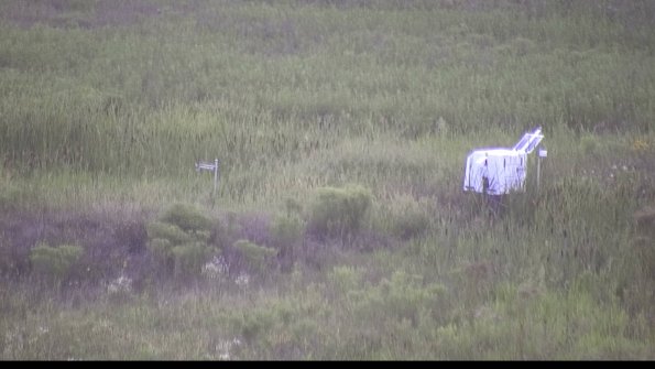 capture-5-23-08-08_20-33-28-04