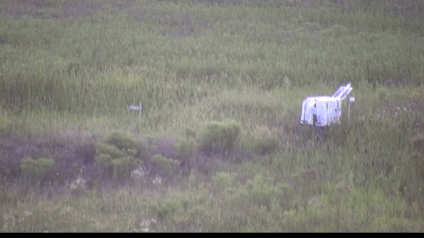 capture-5-23-08-08_20-35-38-27